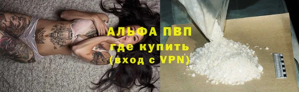 индика Абаза