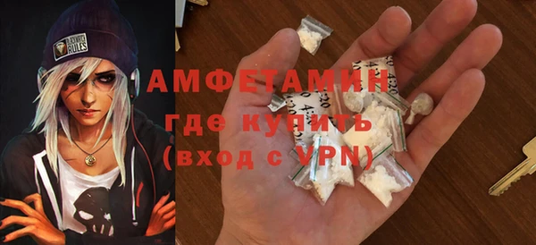 прущие грибы Покров
