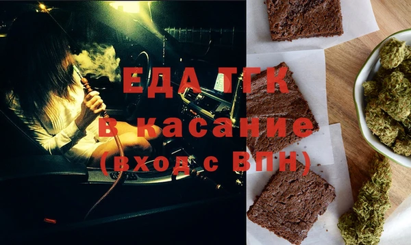 индика Абаза