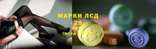 индика Абаза