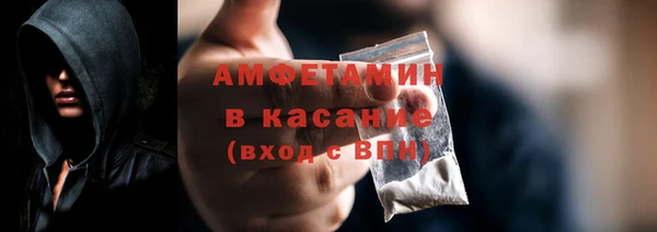 индика Абаза