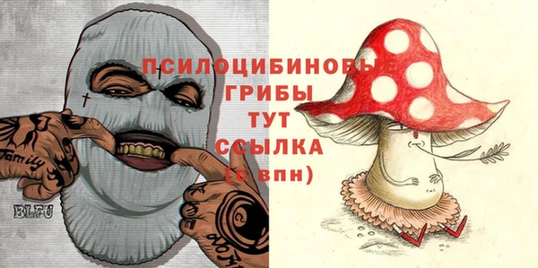 индика Абаза