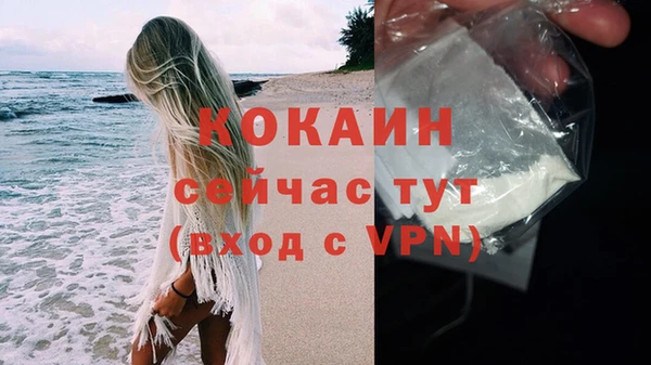прущие грибы Покров