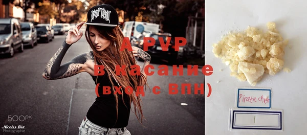 индика Абаза