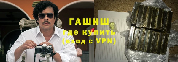 индика Покачи